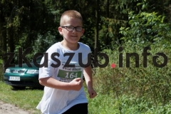dla_milenki-sulmin_148