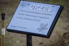 278778524_325440116377131_3720156282609478144_n