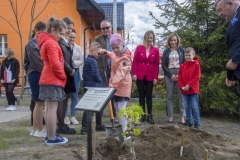 279093659_281263264092909_5686744710710837130_n