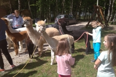 192253759_515299512836859_9095347161161408519_n