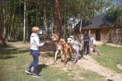 192316586_997556657738663_2654376656813971168_n