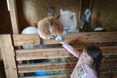 193000266_779017782802798_765643648432948347_n