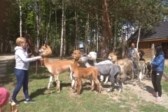 193348679_756077215085867_4084263653514502023_n