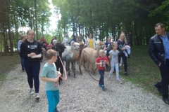 194354265_935993793841989_4440267027365359693_n