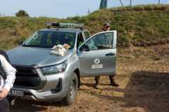 364116eb-d808-497e-80d4-0b4f71ea410f