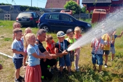 201357106_959847044801228_1821685237136631530_n