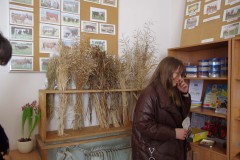 sierakowice-6