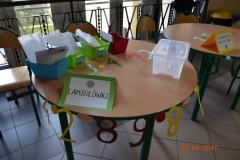 sp1_zukowo001_800x533