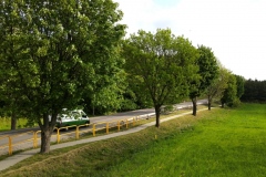 wezel2