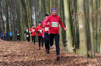 City Trail w Trójmieście