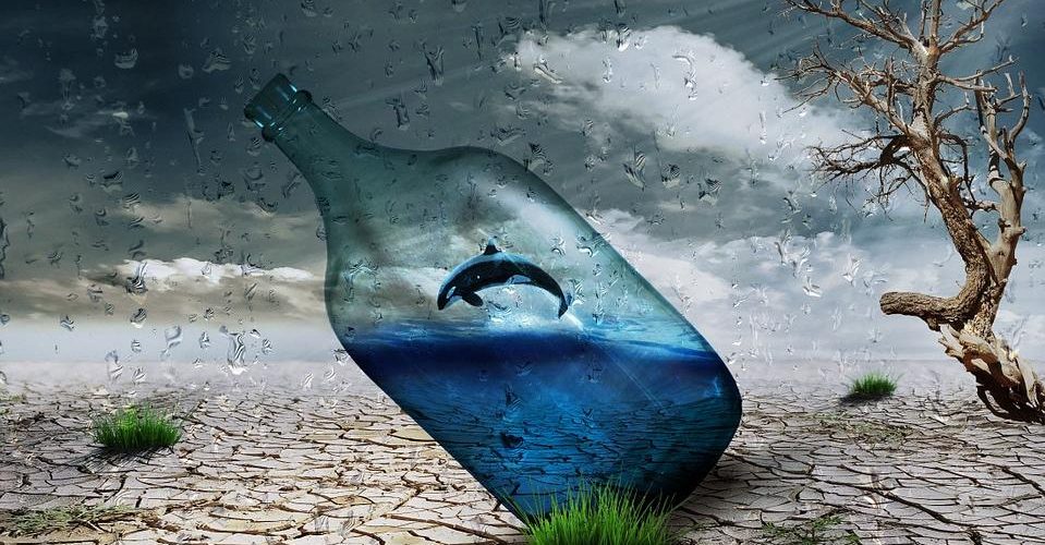 Dotacje Zarządu Powiatu