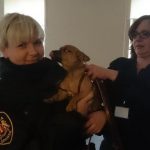 „Mój pan pojechał na cmentarz”, czyli niezwykła historia małej Kropki [ZDJĘCIA, WIDEO]