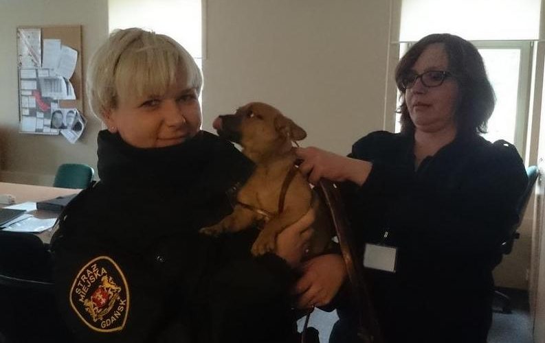 "Mój pan pojechał na cmentarz", czyli niezwykła historia małej Kropki