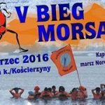 V Bieg Morsa w Garczynie. Zapisy trwają!