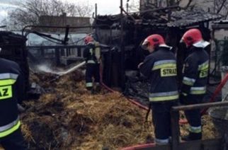 Pożar w Chwaszczynie. Spłonęły drewniane zabudowania [ZDJĘCIA]