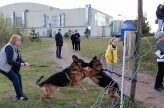 Wystawa psów w Luzinie