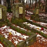 Leźno: pałac i groby [ZDJĘCIA]