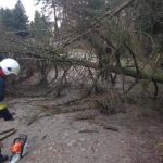 Orkan na Kaszubach: awarie prądu i powalone drzewa