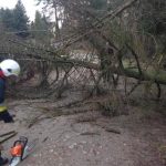 Orkan na Kaszubach: awarie prądu i powalone drzewa