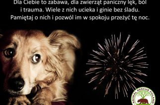 Nie strzelamy w sylwestra!