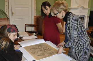 Konserwacja zbiorów Muzeum w Wejherowie