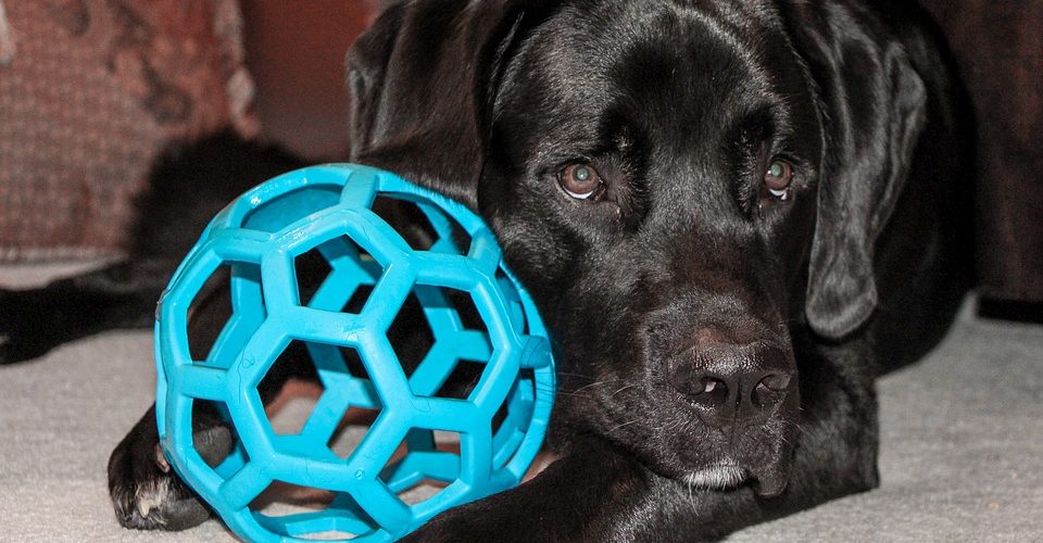 Fot.: pixabay.com/CC0 Public Domain