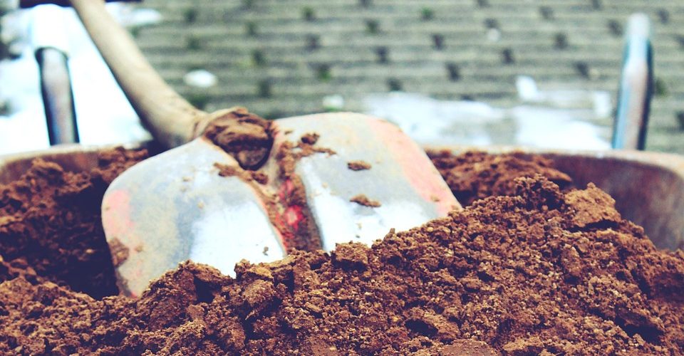 Fot.: pixabay.com/CC0 Public Domain