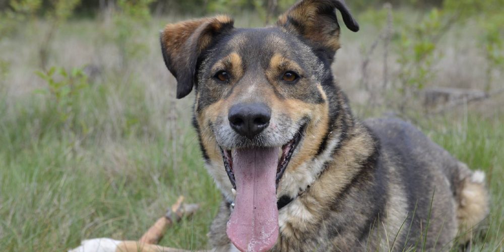 Fot.: Ania Szczepaniak