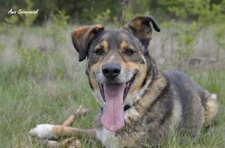 Fot.: Ania Szczepaniak