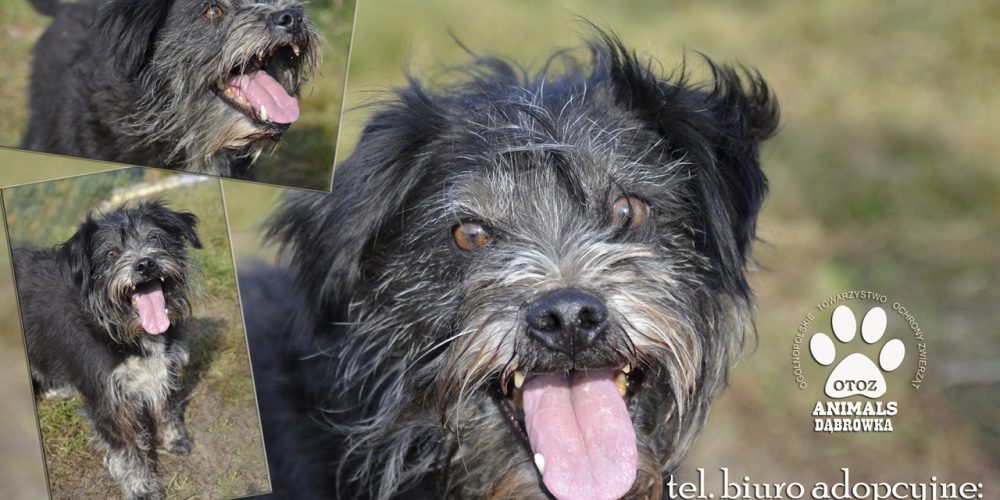 Fot.: Ania Szymańska