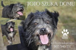 Fot.: Ania Szymańska