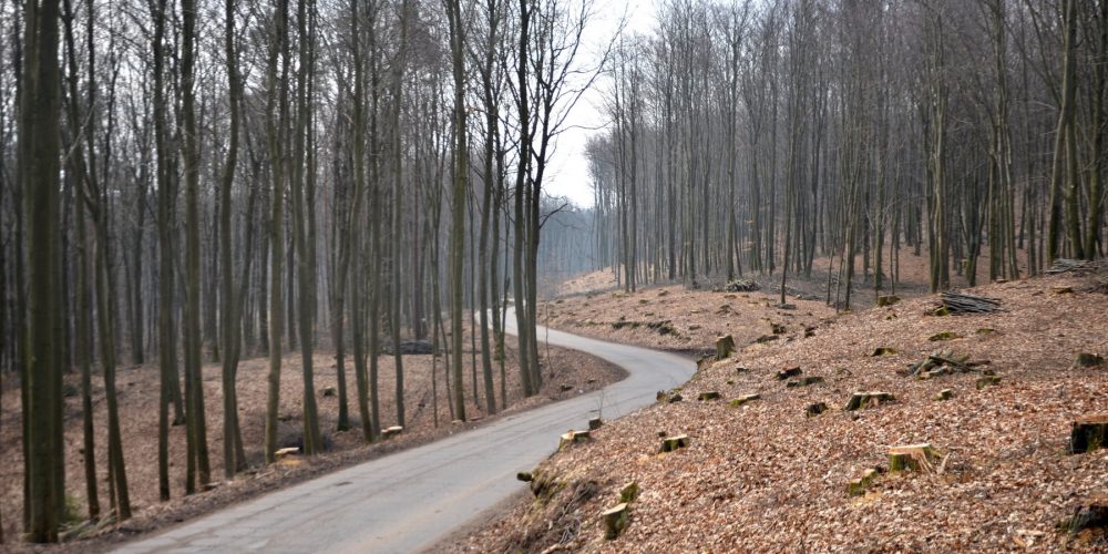 fot.: UG Kartuzy/mała obwodnica