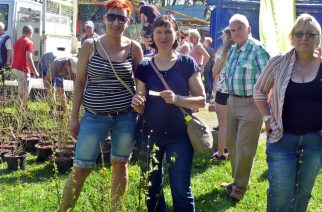 fot. Alicja Hinc/ Drzewko za makulaturę