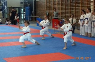 Fot. Gokken Chwaszczyo