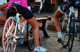 Fot.: CC0 Public Domain