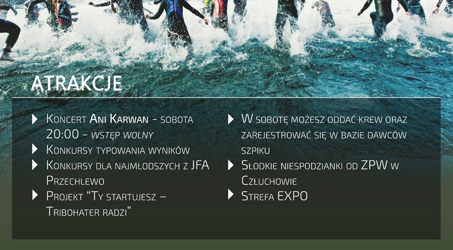 fot. mat. orgaiozatora