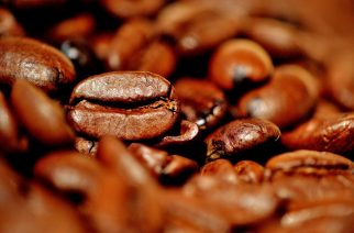 fot. Licencja Pixabay