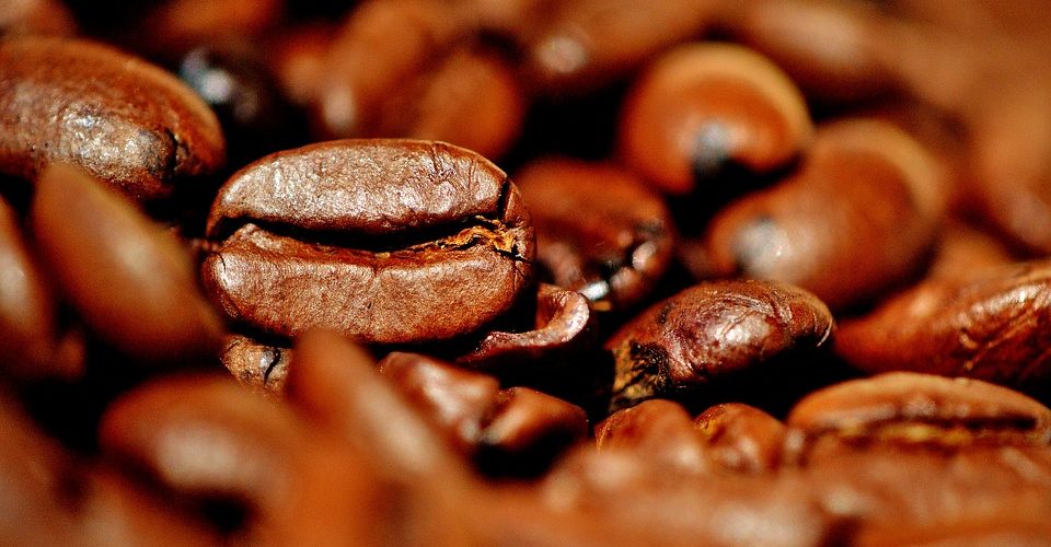 fot. Licencja Pixabay