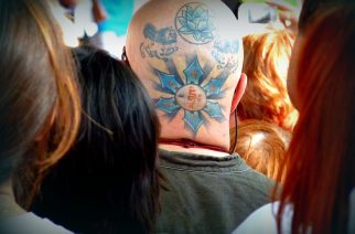 fot. Licencja Pixabay