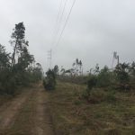 Enea Operator: Trwa odbudowa linii energetycznych po sierpniowej nawałnicy