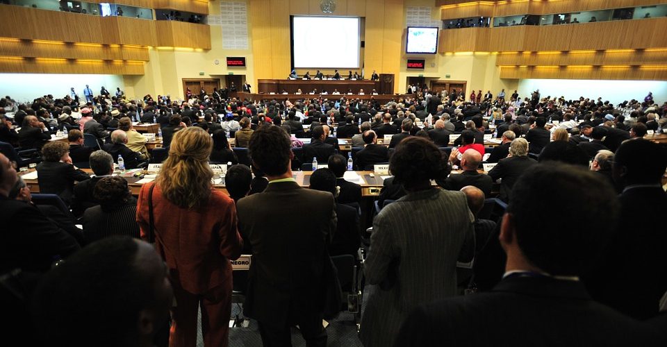 fot. CC0 Creative Commons