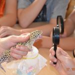 Egzotyczni goście w SP nr 1 w Żukowie [ZDJĘCIA]