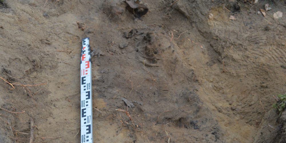 Poszukują grobów żołnierzy niemieckich