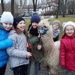 „Dzieci były zachwycone!”, czyli ferie z Kartuskim Centrum Kultury