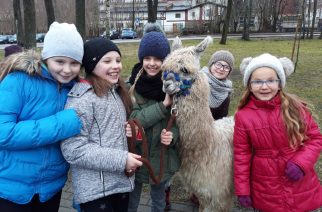 „Dzieci były zachwycone!”, czyli ferie z Kartuskim Centrum Kultury