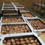 Pączkowy kiermasz Caritas