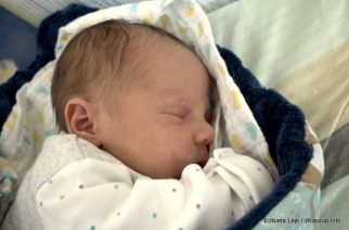 fot. Elżbieta Lejk/zkaszub.info