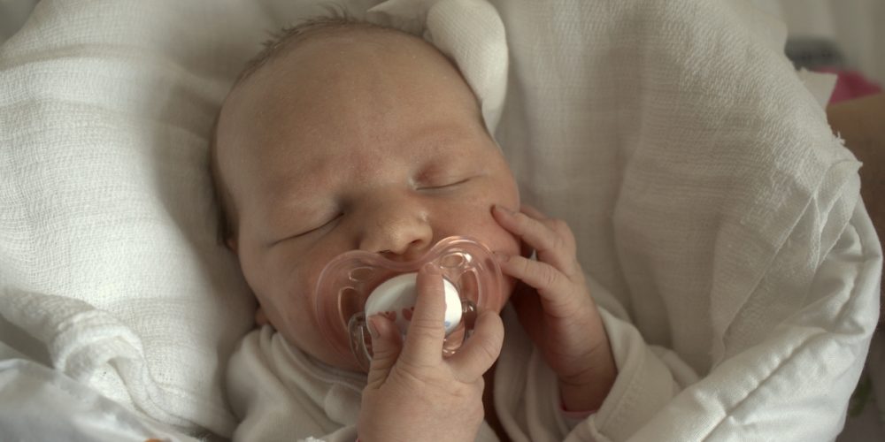 fot. Elżbieta Lejk /zKaszub.info