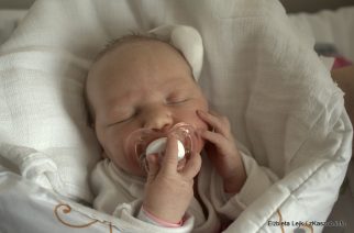 fot. Elżbieta Lejk /zKaszub.info