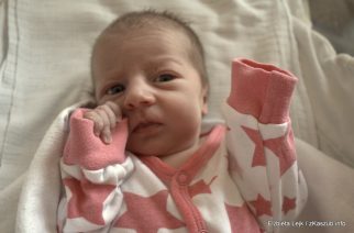 fot. Elżbieta Lejk /zkaszub.info